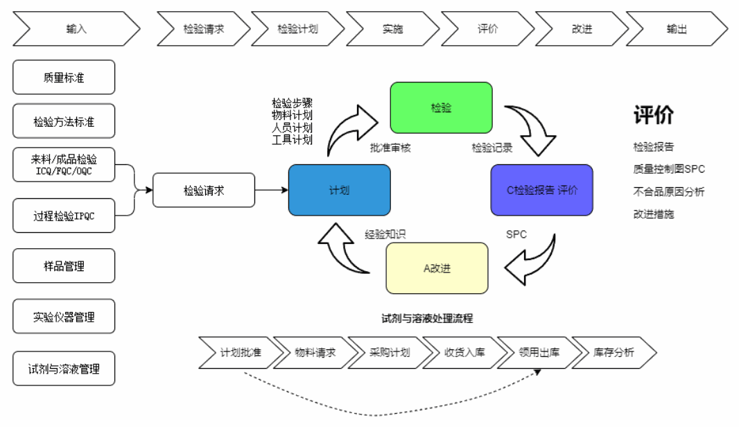 公司团队